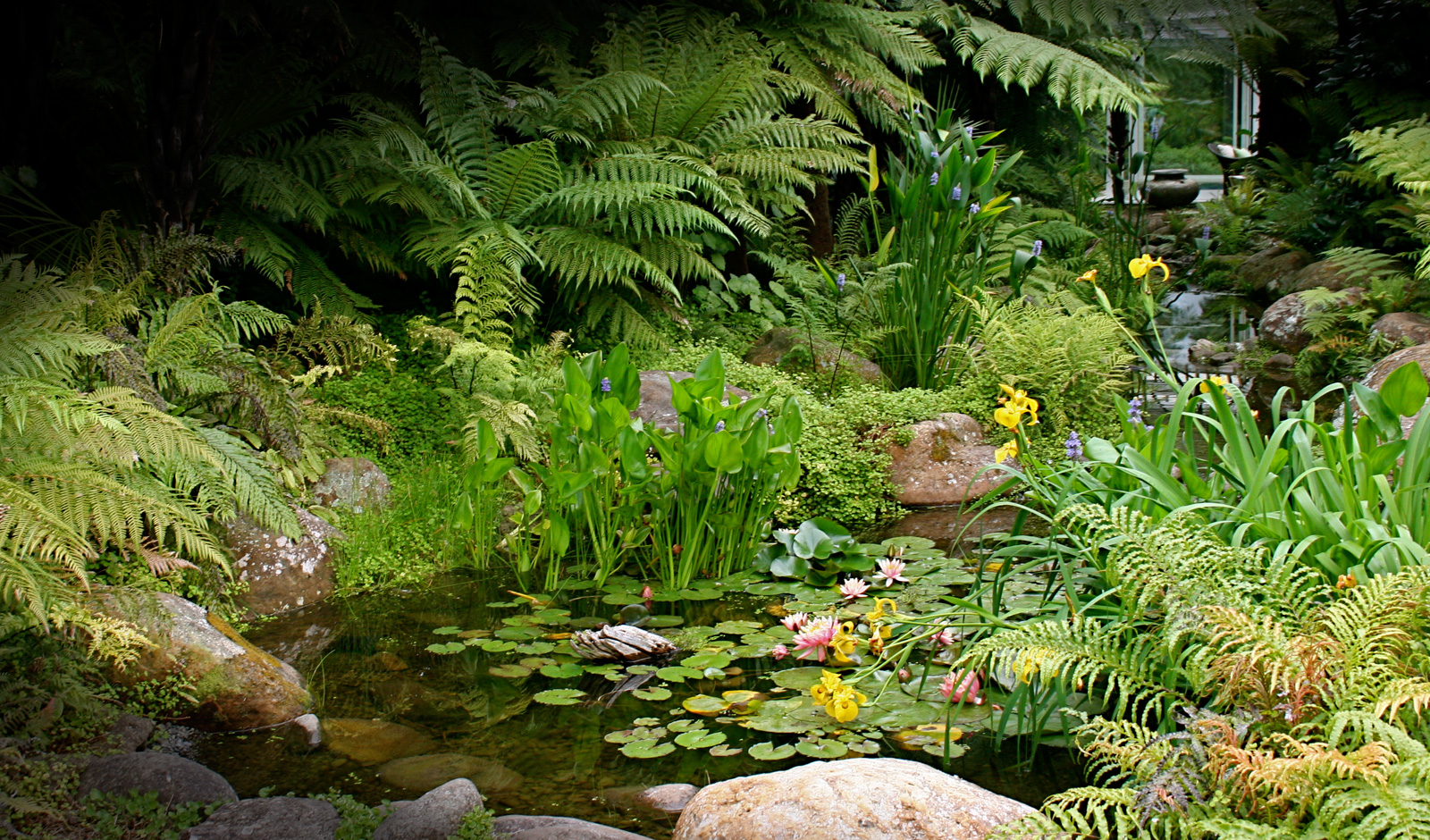 The Lodge at Kauri Cliffs Spa - Landscaping by Hawthorn Landscapes