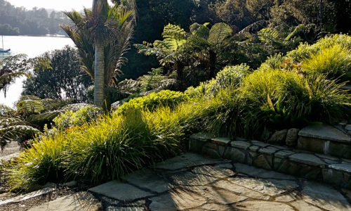 Te Wahapu – Coastal Garden