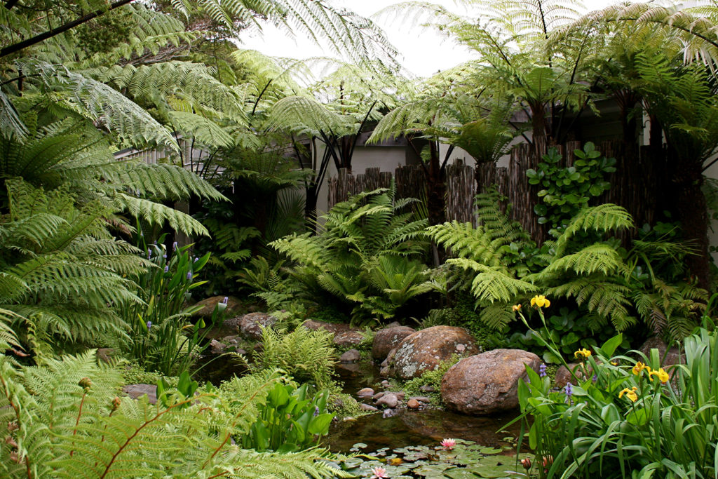 Kauri Cliffs Spa lush subtropical plantings and ponga fence