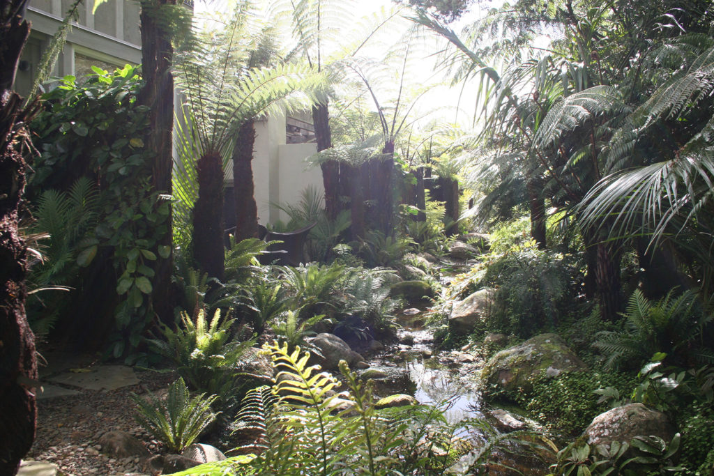 The rocky stream and native plantings