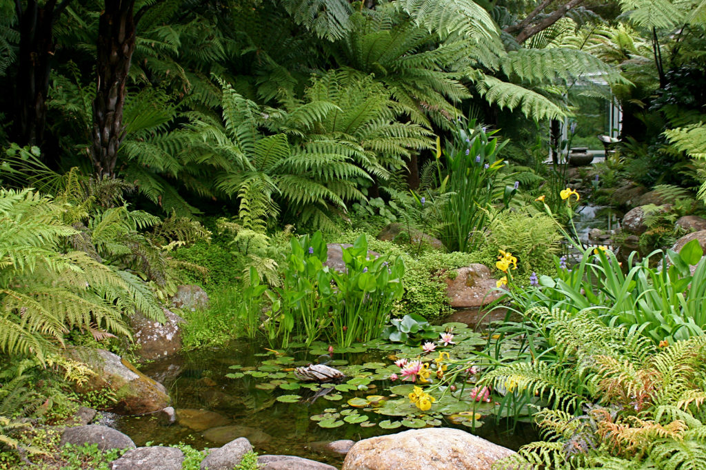 Kauri Cliffs Spa ponds and subtropical plantings