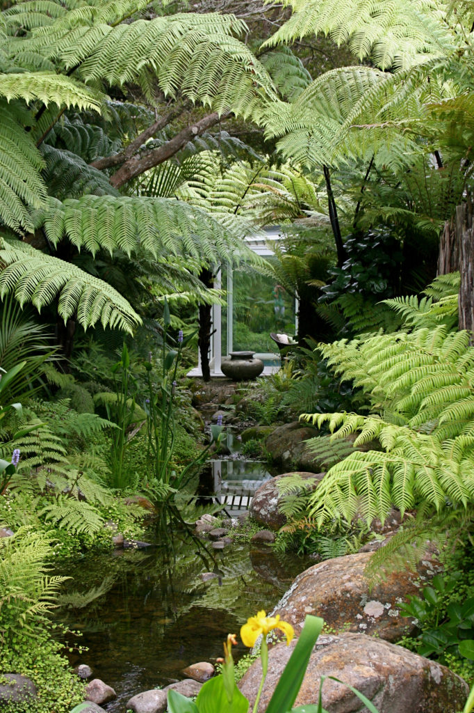 Kauri Cliffs Spa rocky stream