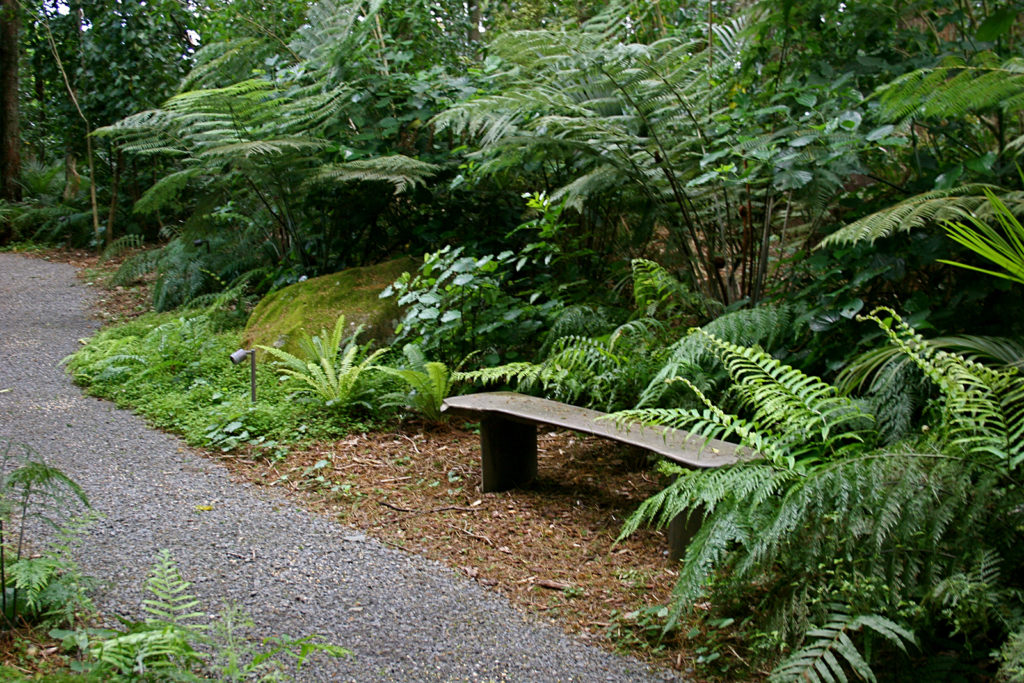 Native plantings by Hawthorn Landscapes