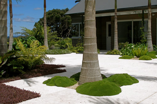 Courtyard landscaping by Hawthorn Landscape Architects
