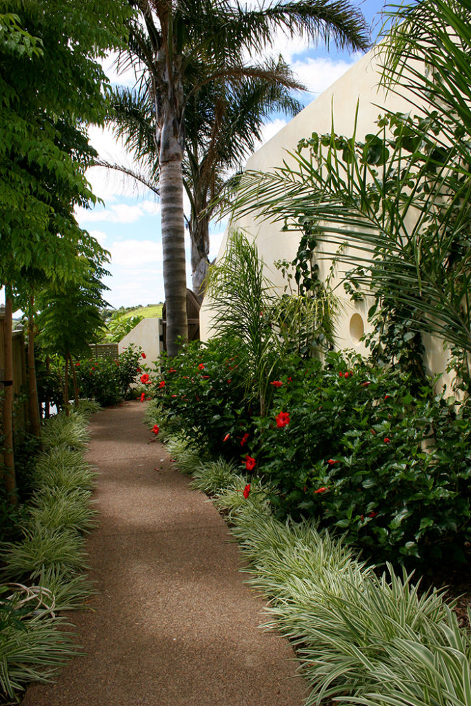 subtropical plantings