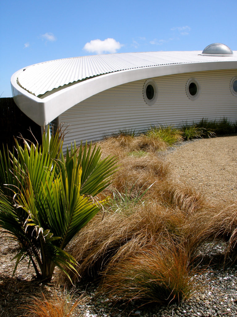 nikau and grasses