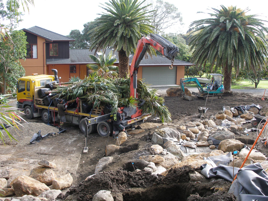 palms arriving by truck