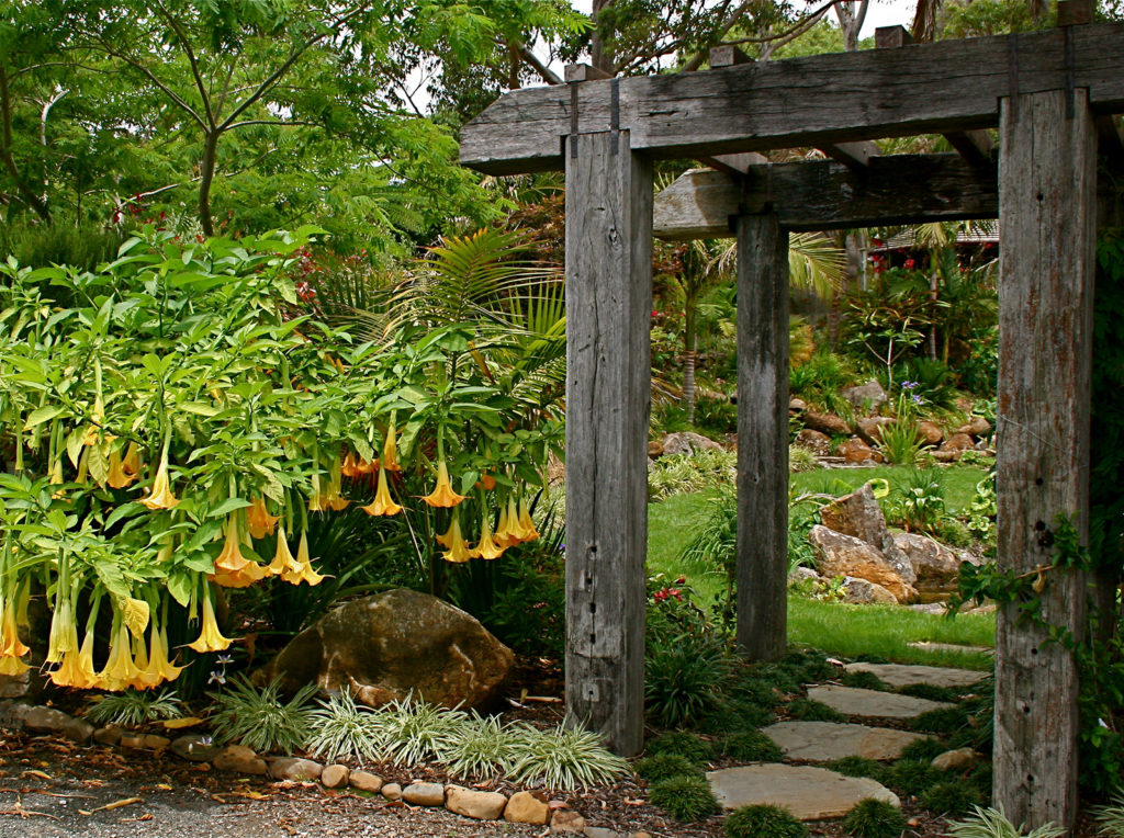 Garden design by christine hawthorn of hawthorn landscapes kerikeri