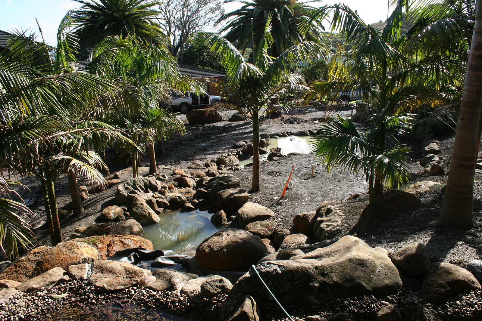 new ponds and rocks in subtropical garden northland