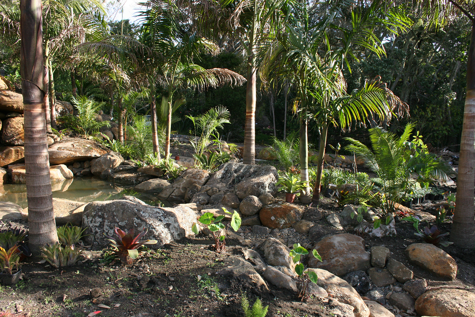 early stages of new garden at sanctuary in the cove