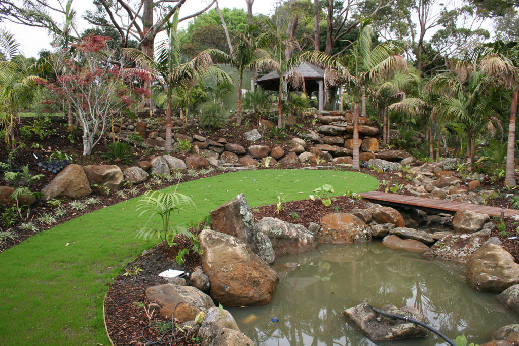 new plantings and early stages of garden design at sanctuary in the cove