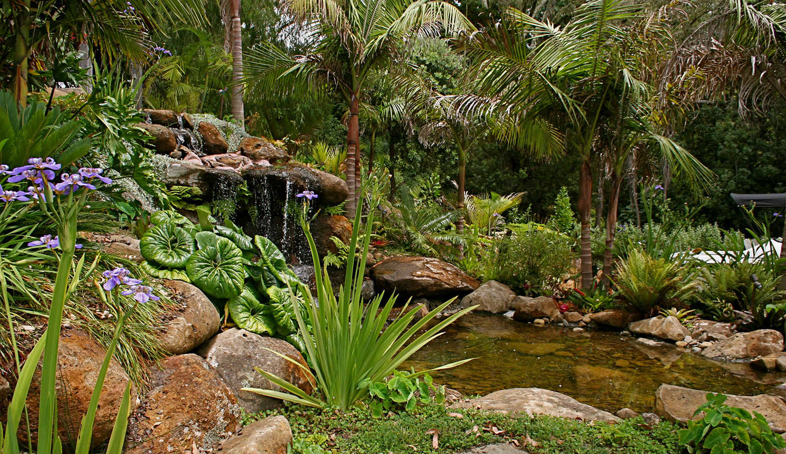 waterfall and planting design by hawthorn landscapes
